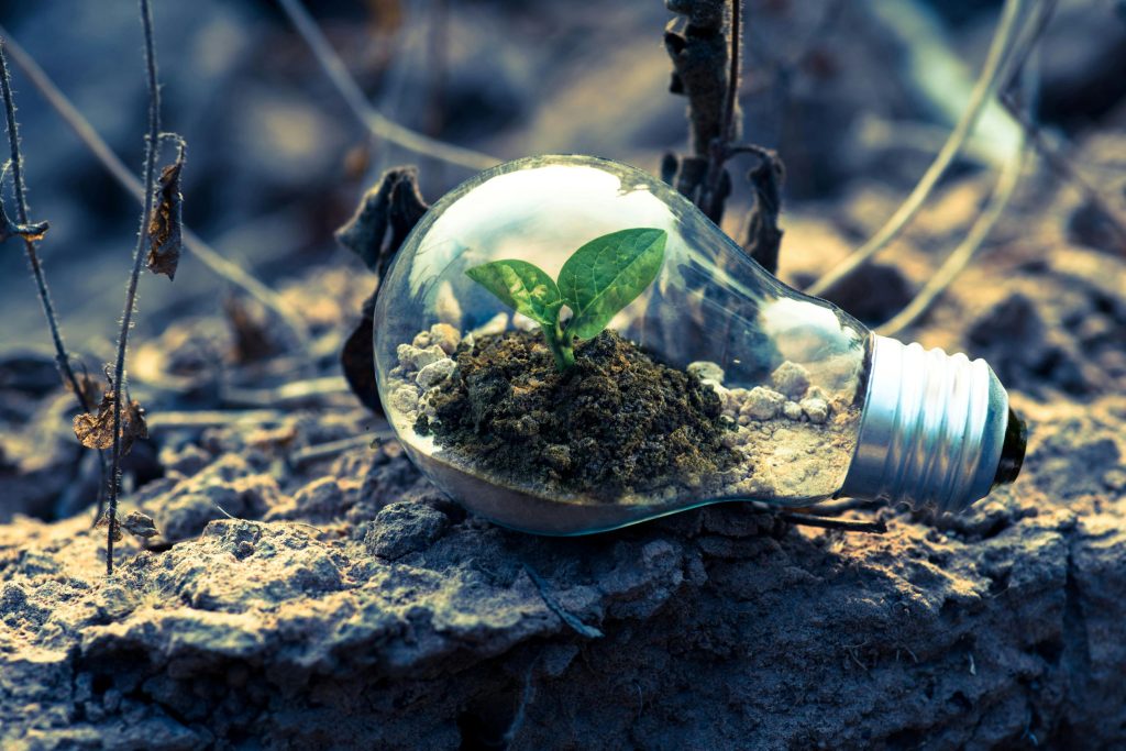 eco friendly or not?